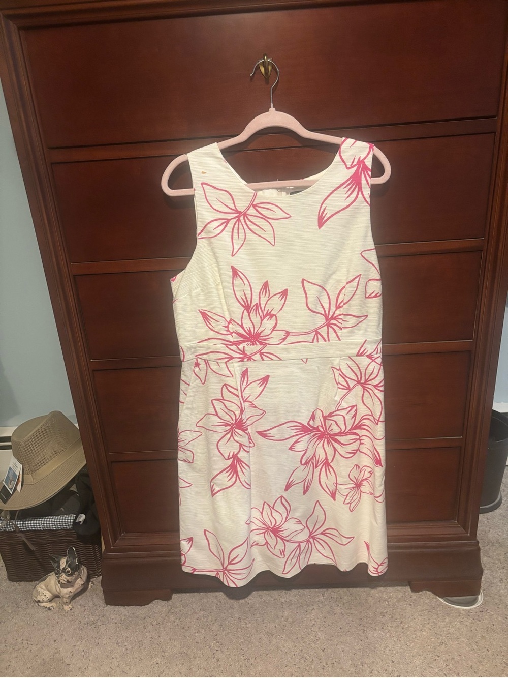 Ann Taylor Factory Cream Dress with Pink Floral Print